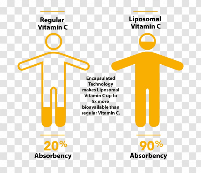 Nutrient Vitamin C Liposome Sodium Ascorbate - Area - Top View Orange Juice Transparent PNG