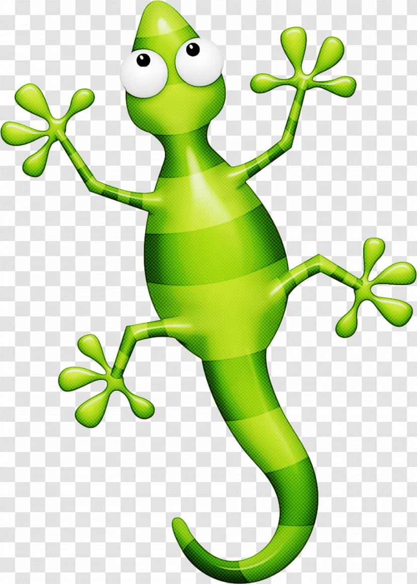 Green Shrub Frog Gecko Frog Tree Frog Transparent PNG