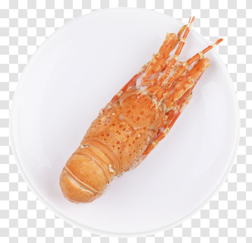 American Lobster Palinurus Shrimp Seafood - Fishing Industry - Imported Transparent PNG