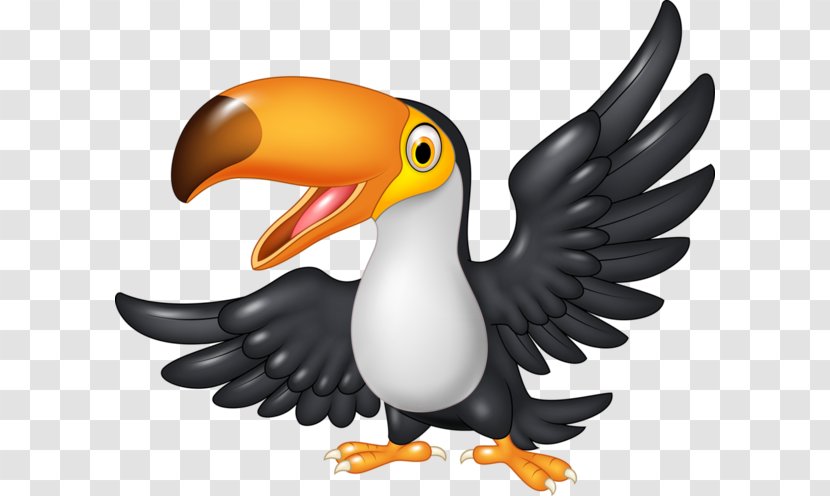 Vector Graphics Royalty-free Toucan Clip Art Illustration - Royaltyfree - Funny Transparent PNG