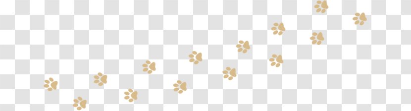 Dog Cat Paw Puppy Creekstone Retrievers - Pet Transparent PNG
