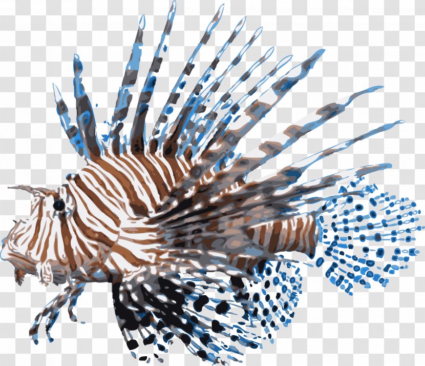Red Lionfish Desktop Wallpaper Scorpionfish - Wing - Marine Fish Transparent PNG