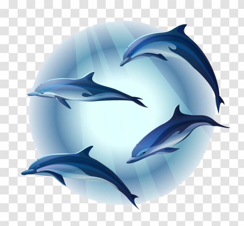 Dolphin Mural - Canvas Transparent PNG