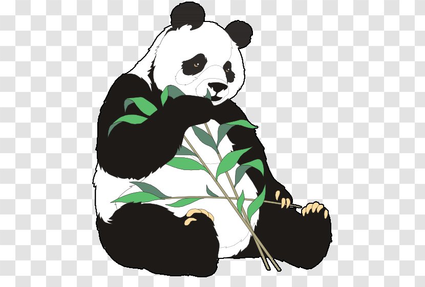 Giant Panda Bear Red Clip Art - Human Behavior - Cliparts Transparent PNG