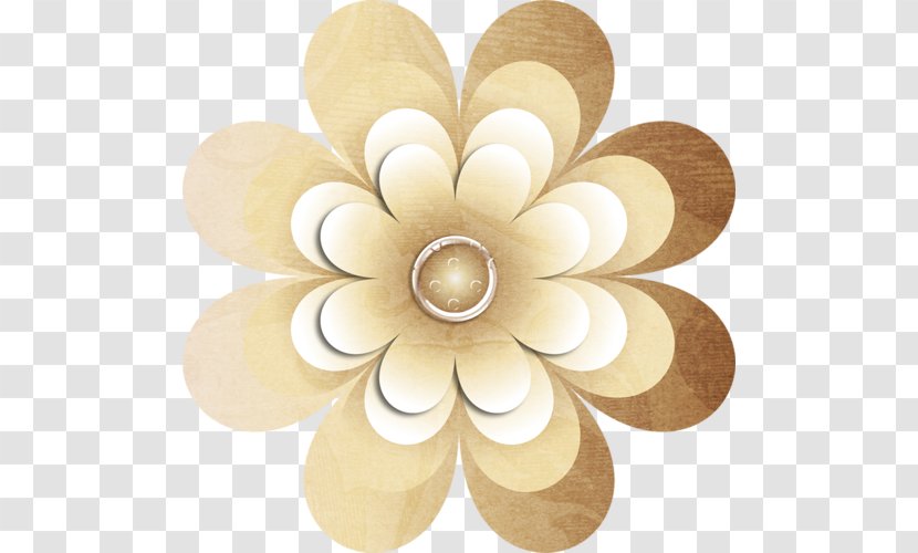 Petal Cut Flowers - Blooss Coffee Transparent PNG