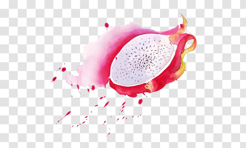 Pitaya Design Image Adobe Photoshop - Resolution - Fire Dragon Transparent PNG