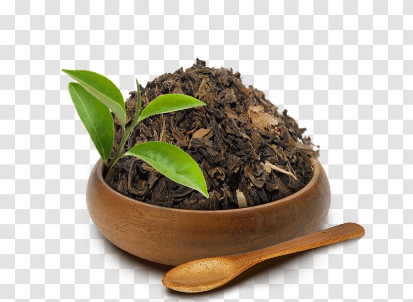 Oolong Nilgiri Tea Romeritos Black - Plant Transparent PNG