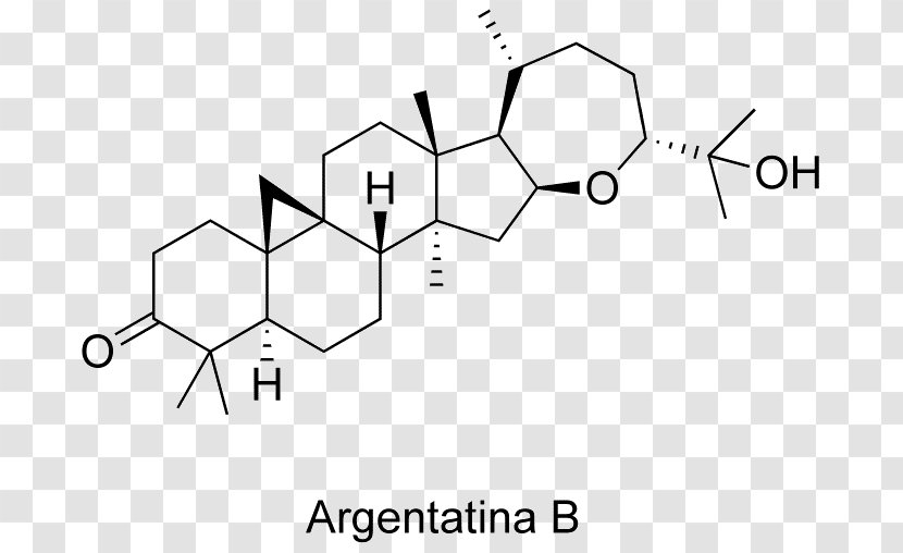 Hydroxyprogesterone Acetate Cortisol Steroid Progestin - Silhouette - Watercolor Transparent PNG