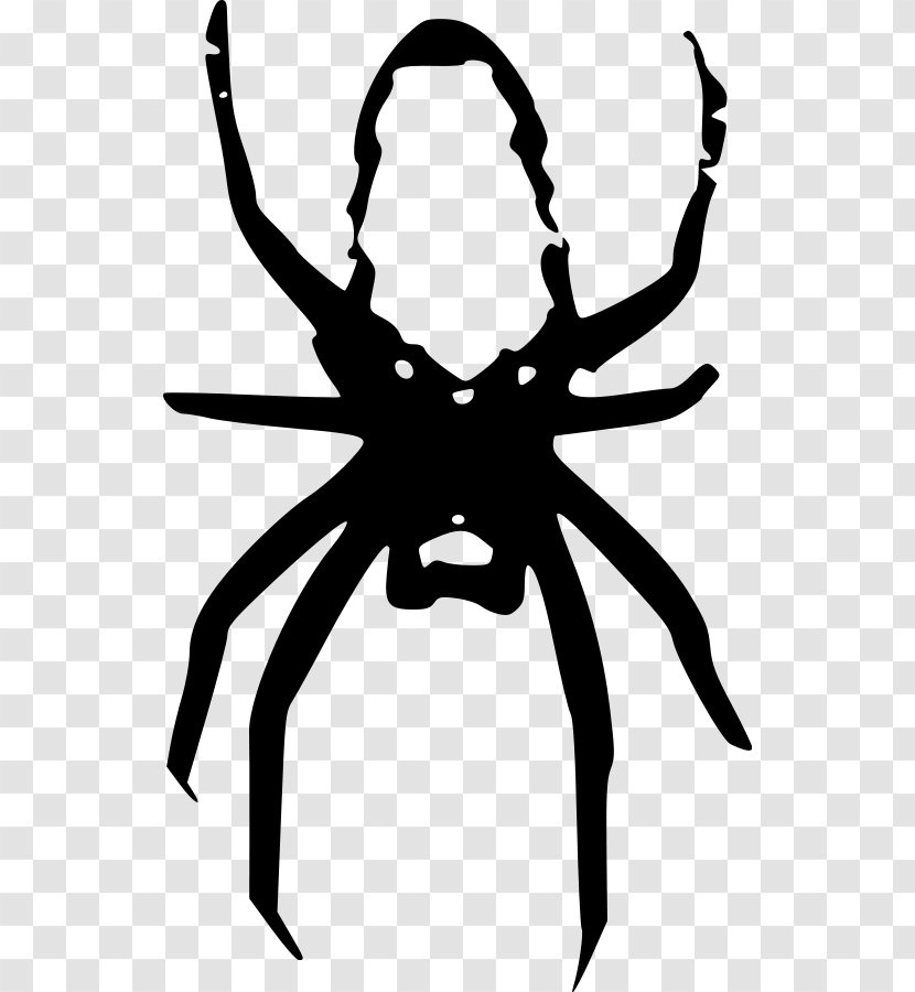 Spider Euclidean Vector Clip Art - Artwork - Web Transparent PNG