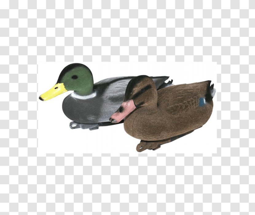 Mallard Duck Decoy Bird Transparent PNG