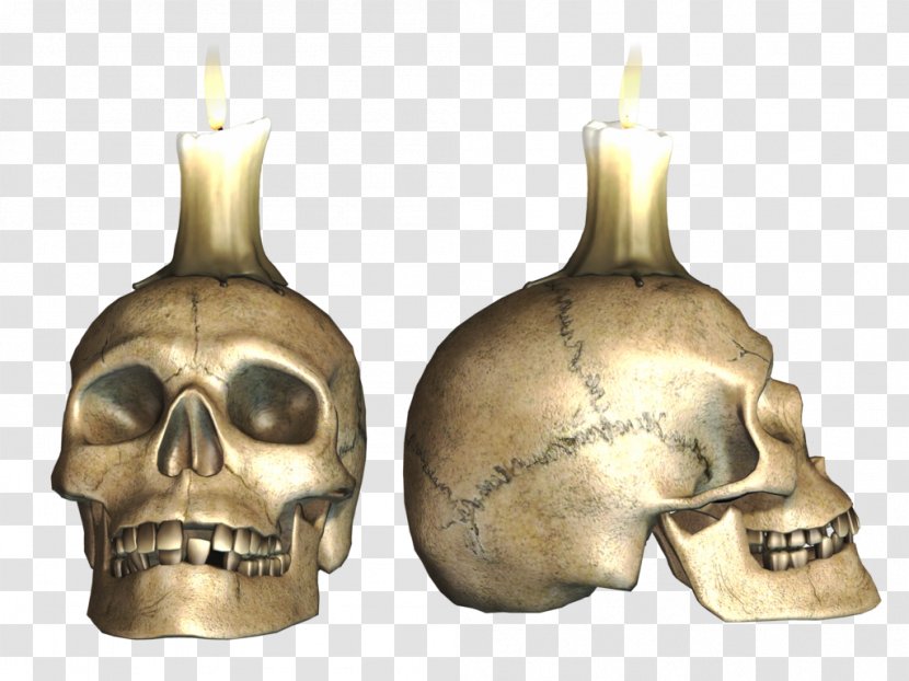 Skull Skeleton Download - Transparency And Translucency - Skulls Transparent PNG