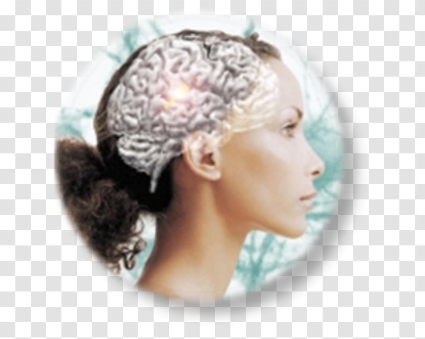 Neuromarketing Neuroscience Functional Magnetic Resonance Imaging Brain Transparent PNG
