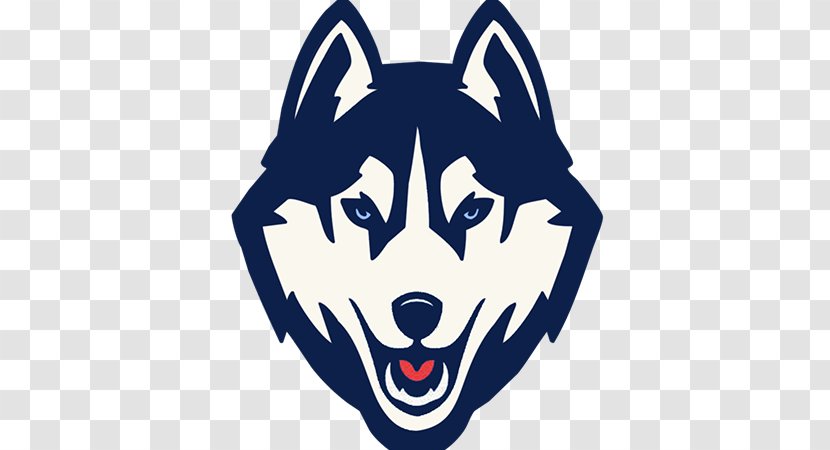 University Of Connecticut Huskies Men's Basketball Football Women's East Coast Rugby Conference - Nose - Husky Transparent PNG