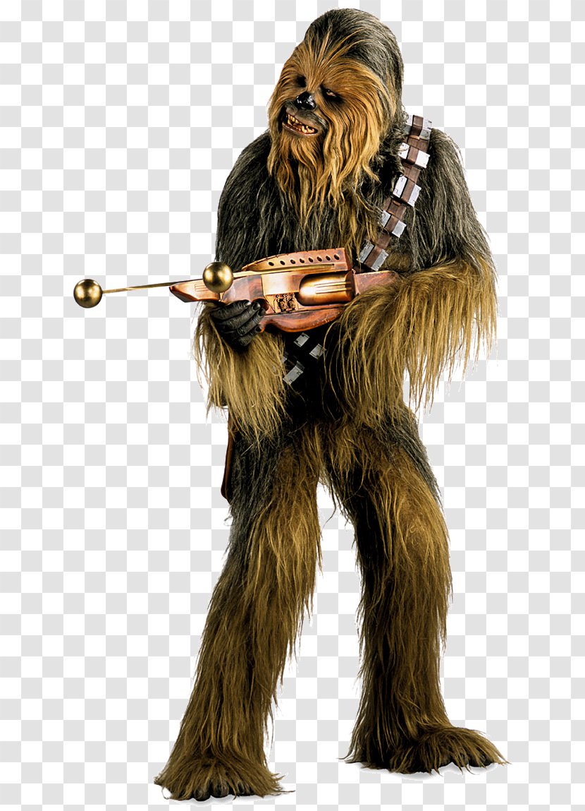 Chewbacca Leia Organa Yoda Wookieepedia Transparent PNG