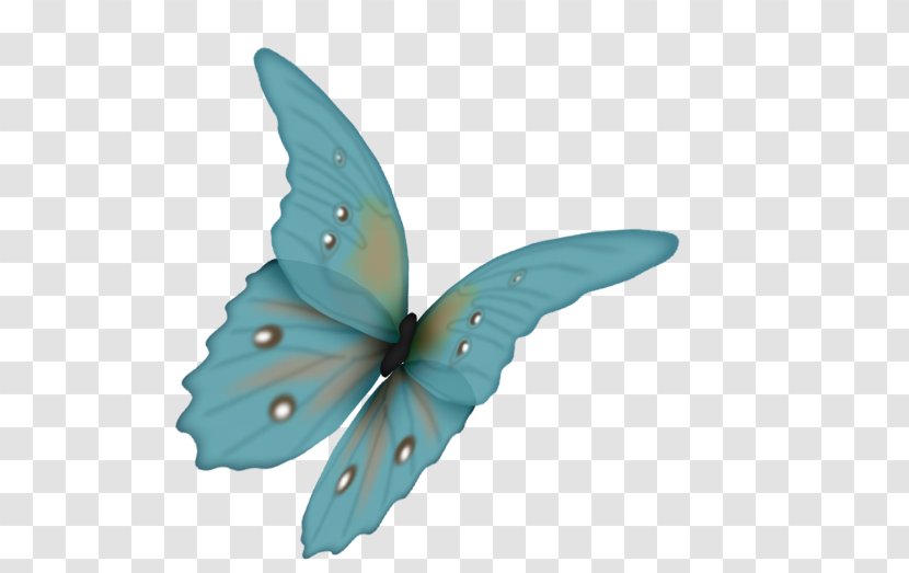 Butterfly Clip Art - Pollinator - Buterfly Transparent PNG
