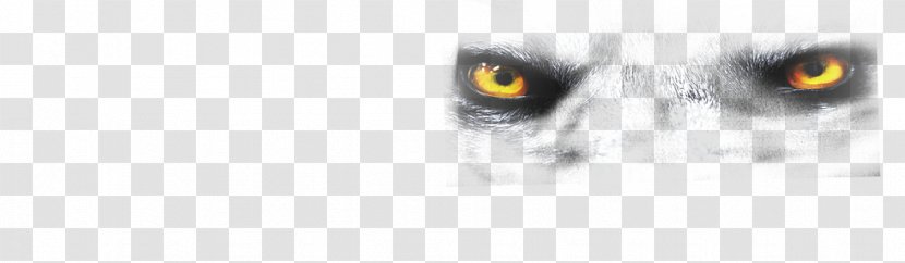 Owl Eye Beak Snout - Flower - Wolf Eyes Transparent PNG
