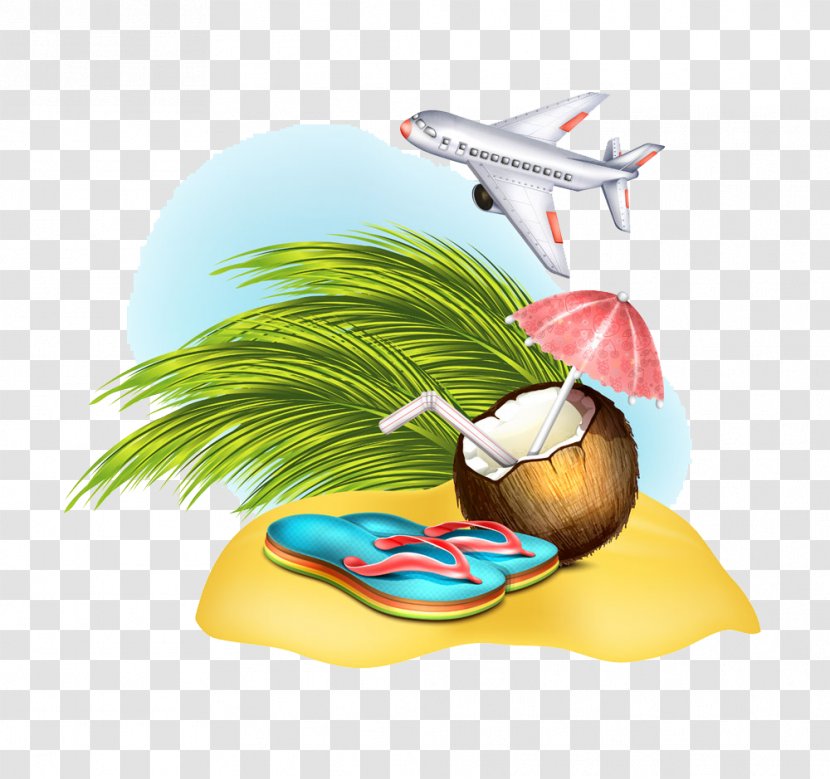 Illustration - Preview - Flops And Coconut Airplane Under Transparent PNG