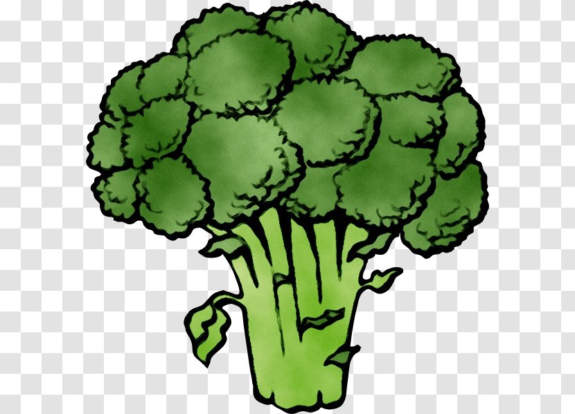Broccoli Clip Art Cauliflower Vegetable - Leaf - Slaw Transparent PNG