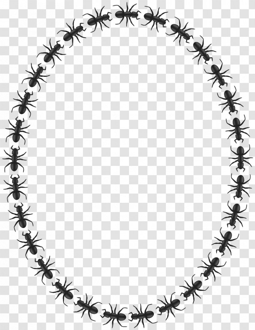 Ant Mill Insect Circle Clip Art - Chain - Ants Transparent PNG