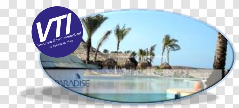 Hotel Coche Paradise Los Roques Archipelago Travel Playa El Yaque - Island - PARADİSE Transparent PNG
