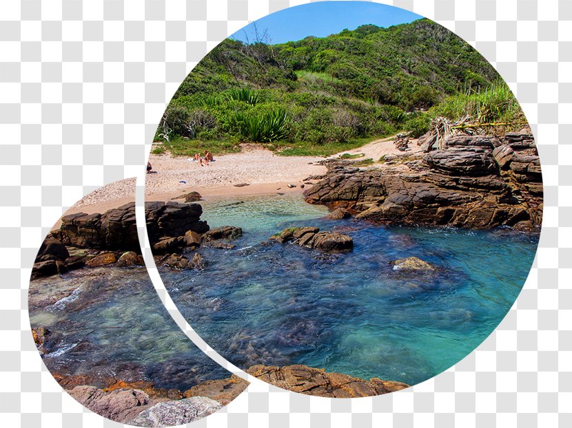 Praia Da Foca Arraial Do Cabo Beach Ilha Grande Lagos Microregion - Coastal And Oceanic Landforms Transparent PNG