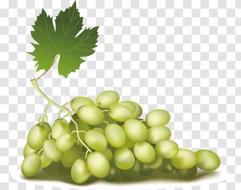 Fruit Download Clip Art - Grape Leaves Transparent PNG