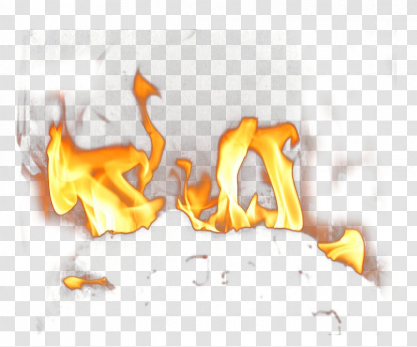 Fire Flame Clip Art - Tree Transparent PNG