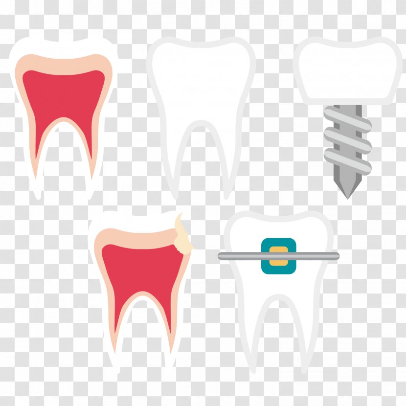 Tooth Dentistry Euclidean Vector - Tree - Dental Teeth Transparent PNG