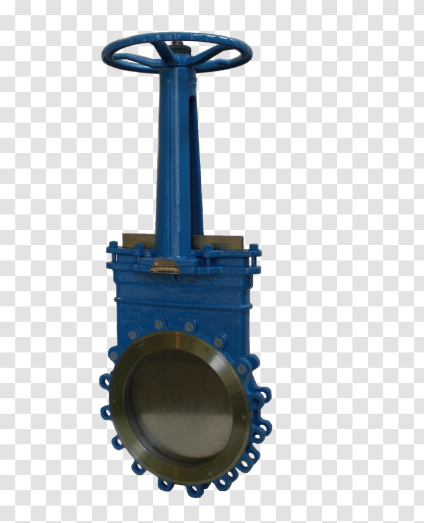 Gate Valve Flange Check Pressione Nominale - Stainless Steel - Screw Transparent PNG