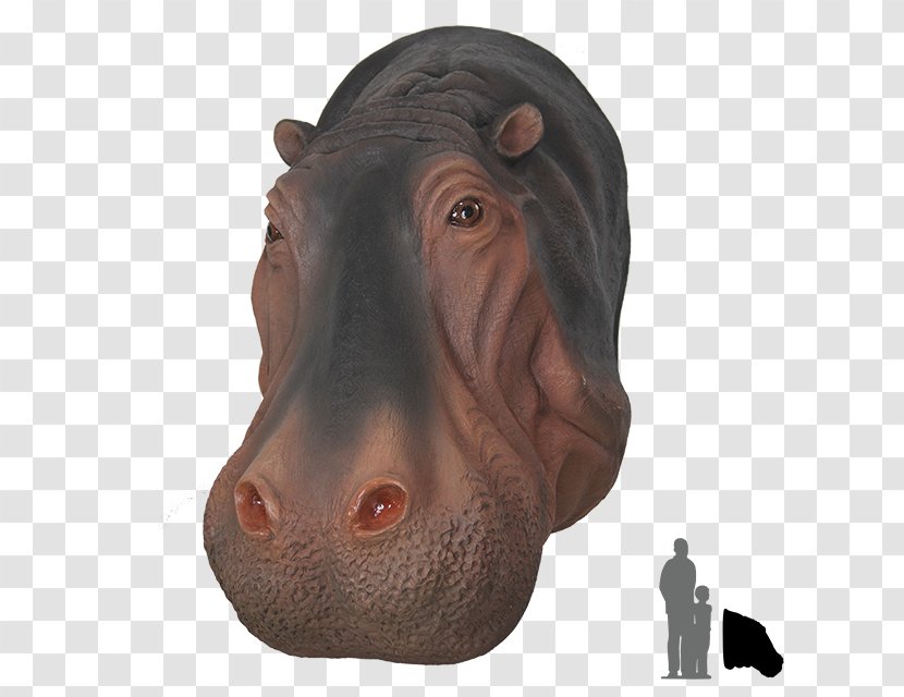 Hippopotamus Pig Rhinoceros Animal Dog - Hippo Transparent PNG