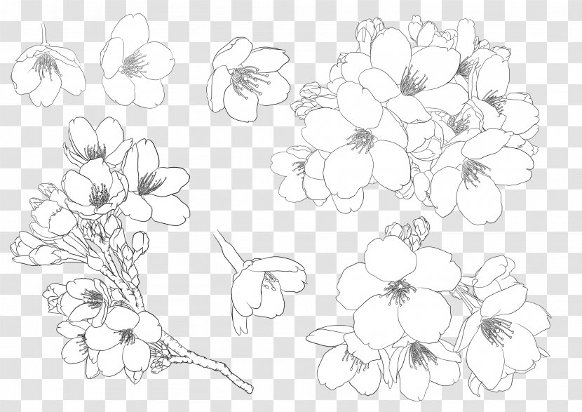 Painting Illustration Drawing Image Floral Design - Happy Ending Transparent PNG
