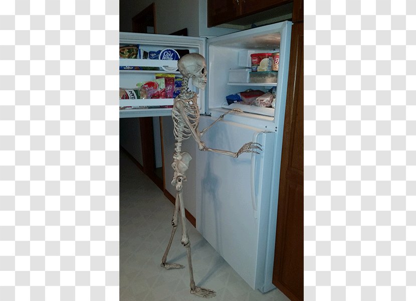 Shelf Closet Refrigerator Angle Skeleton - Major Appliance Transparent PNG