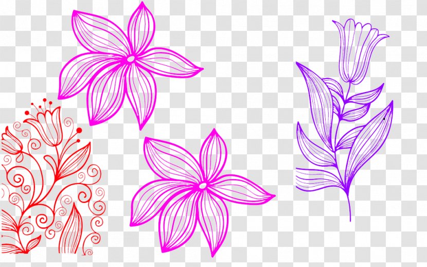 Drawing Lilium Clip Art - Floating Lily Flowers Transparent PNG