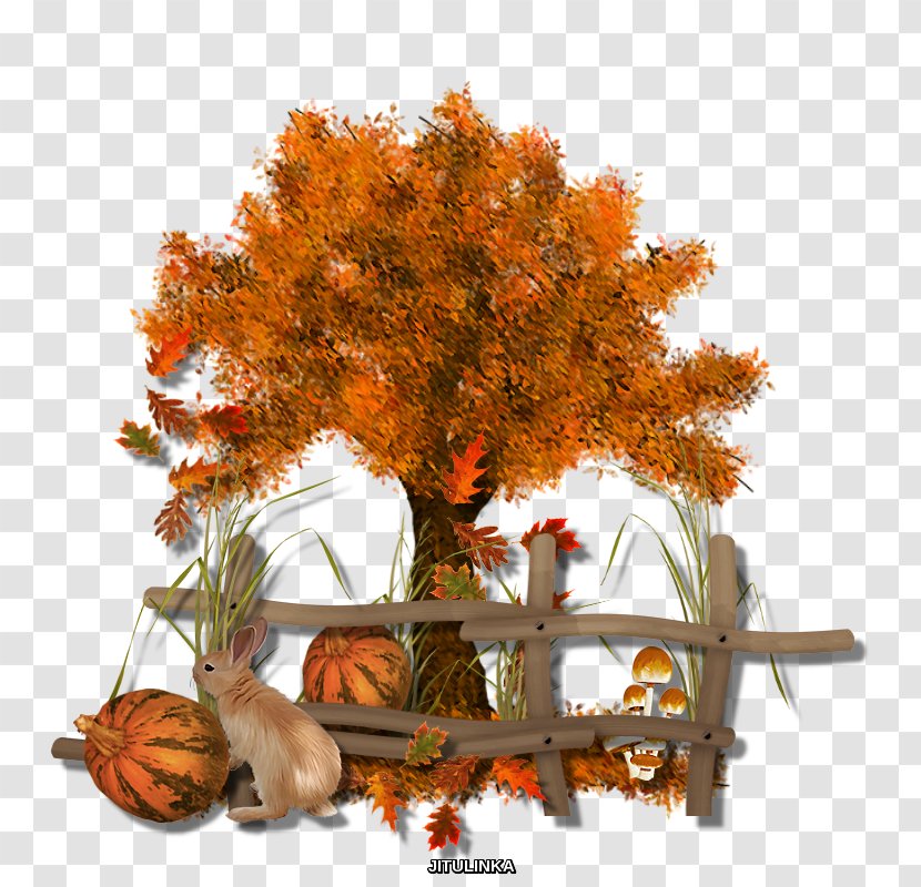 Autumn Twig Tree Clip Art Transparent PNG