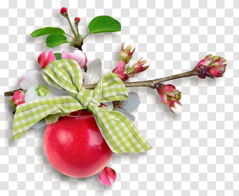 Lingonberry - Fruit - Garden Fruits Transparent PNG