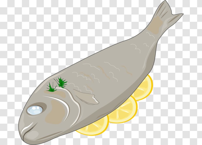 Fish - Design Transparent PNG