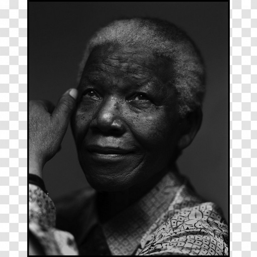 Photographer Portrait Gavin Schneider Productions Celebrity - Michael Stipe - Nelson Mandela Transparent PNG