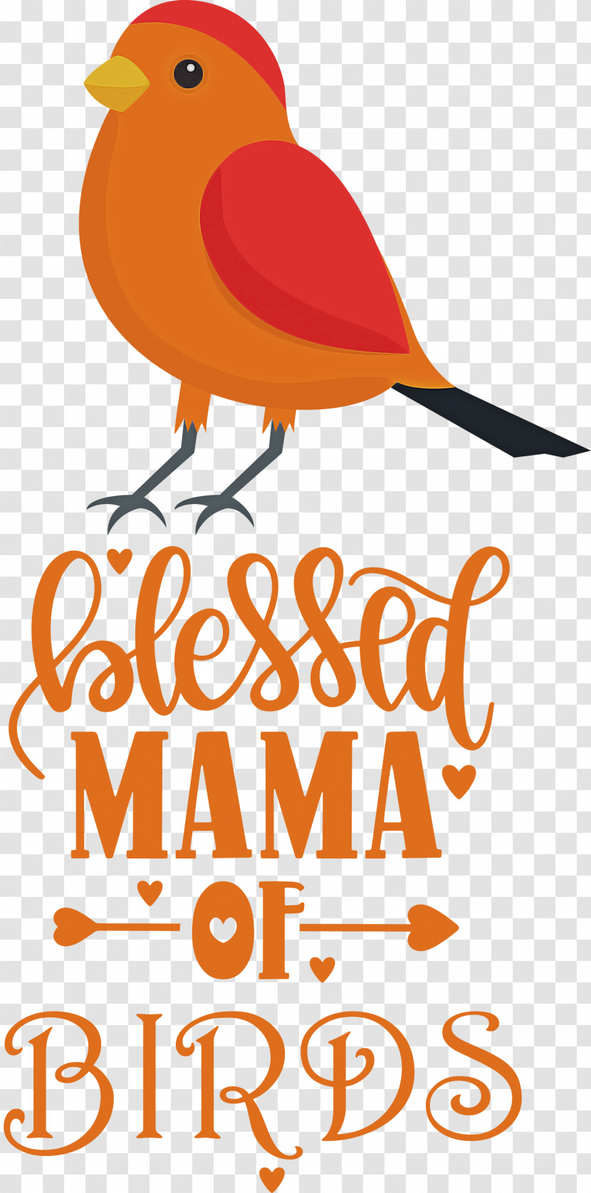 Bird Birds Blessed Mama Of Birds Transparent PNG