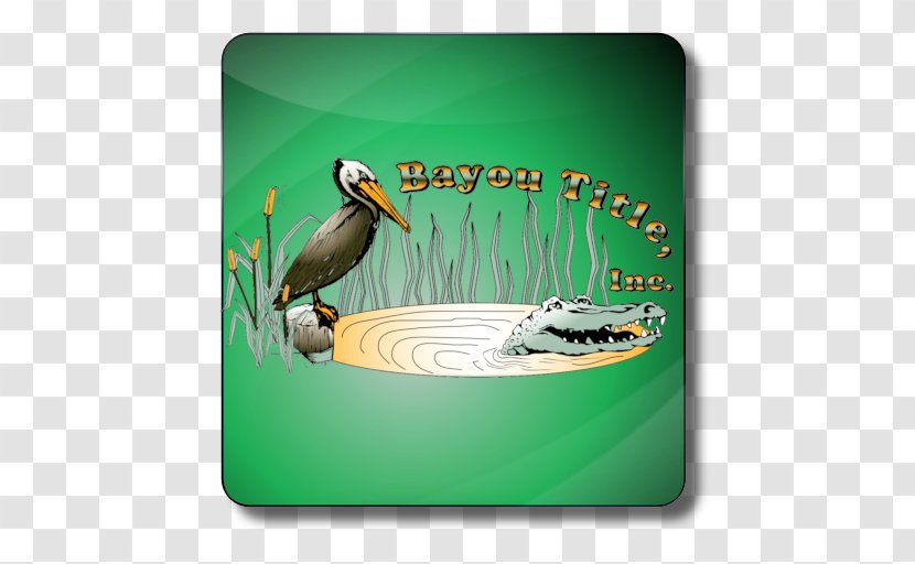 Duck Seabird Beak - Green Transparent PNG