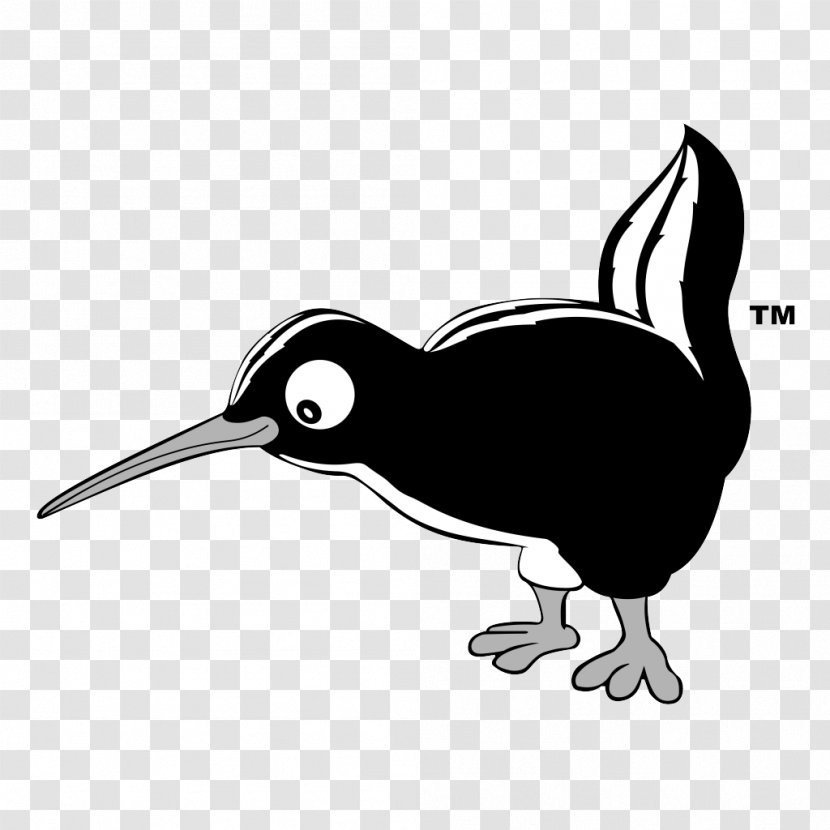 Duck Penguin Clip Art Fauna Silhouette - Water Bird - Beak Transparent PNG