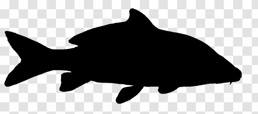 Dolphin Porpoise Dog Mammal Shark - Fauna Transparent PNG