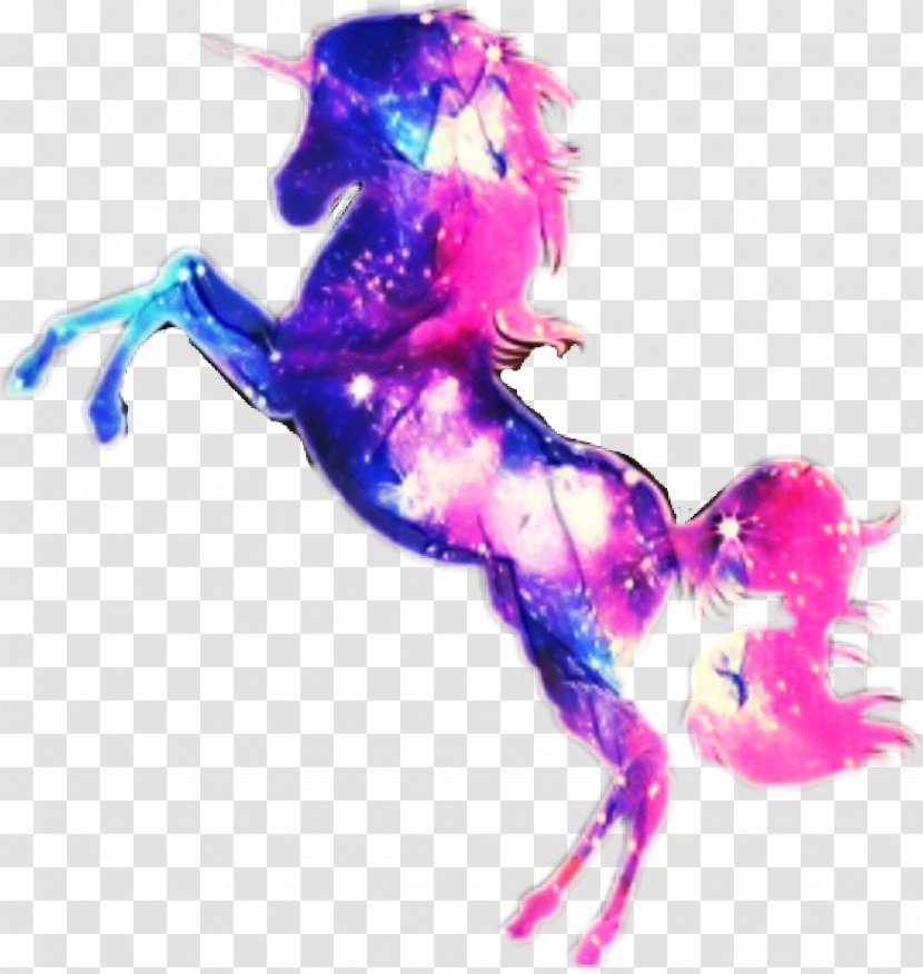 Unicorn - Spreadshirt - Liquid Premium Tshirt Transparent PNG