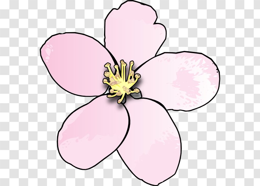 Cherry Blossom Drawing Clip Art - Plant - Blossoms Clipart Transparent PNG