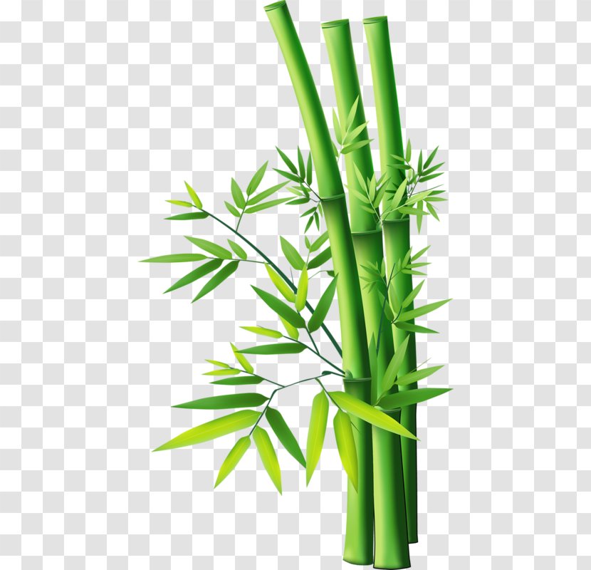Tropical Woody Bamboos Clip Art - Plant Stem - Bamboo 19 0 1 Transparent PNG