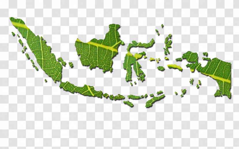 Bali World Map Atlas - Grass Transparent PNG