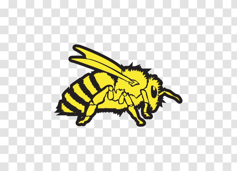 Vespa Bee Motorcycle Sticker Hornet - Invertebrate - Wasp Transparent PNG