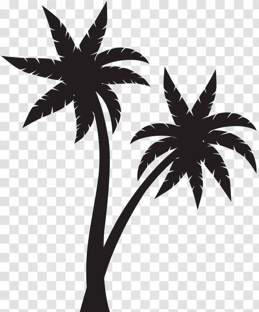 Silhouette Arecaceae Clip Art - Black And White - Middle Vector Transparent PNG
