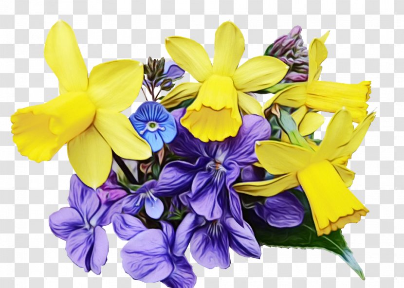 Flower Flowering Plant Yellow Cut Flowers - Wildflower - Iris Transparent PNG