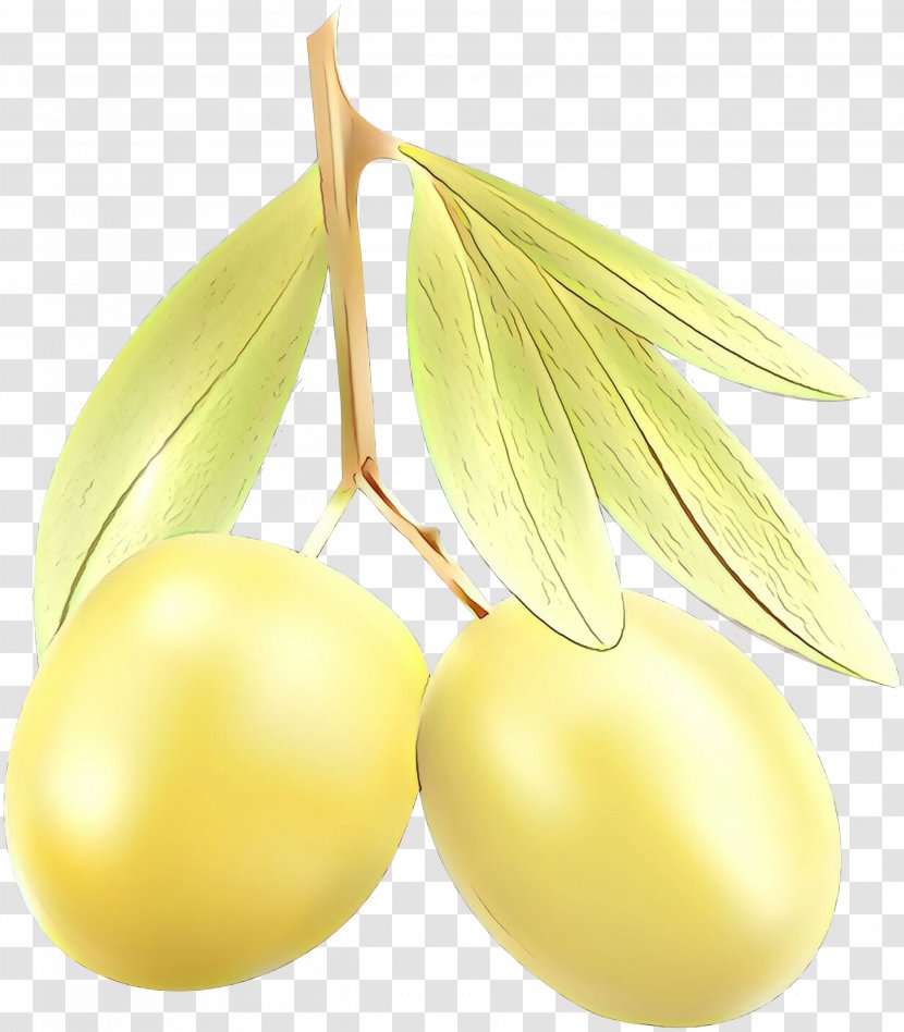 Fruit Yellow Plant Food Tree - Flower - Olive Transparent PNG