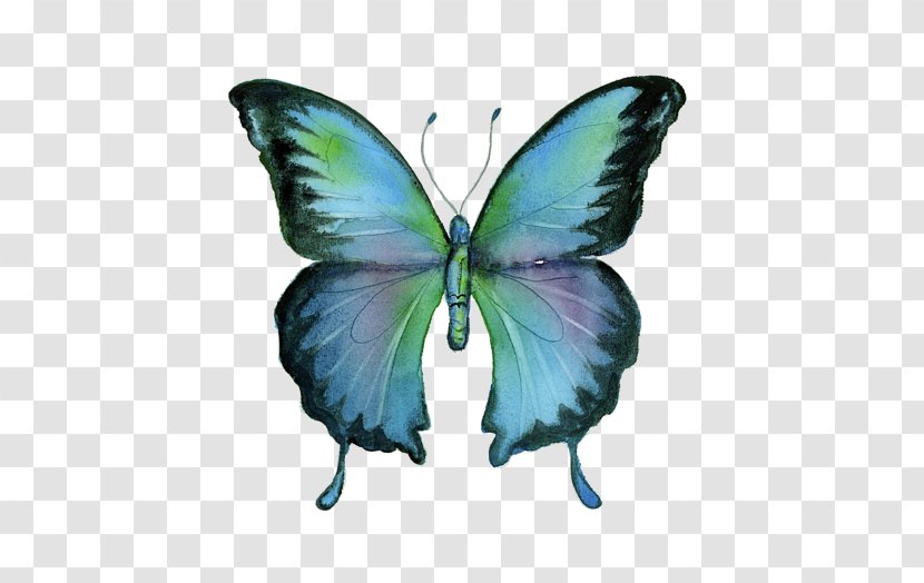 Brush-footed Butterflies Butterfly Blue Morpho Painting Art - Moth - Arab Greeting Card Transparent PNG